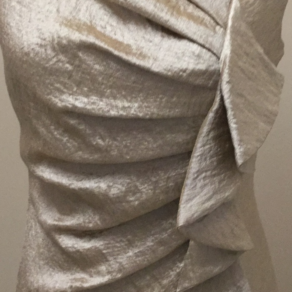 Suzi Chin beige shimmer dress - Picture 5 of 7